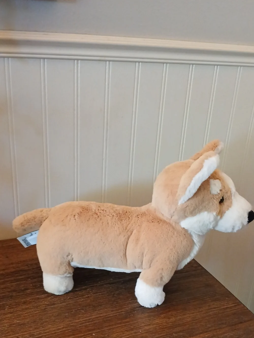 Jellycat Betty Corgi soft Tan/white Plush Dog Corgi Stuffie, Dog Plusie